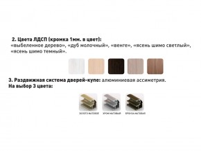 Шкаф-купе Акцент-Сим Д 1400-600 шимо тёмный в Тюмени - tyumen.magazinmebel.ru | фото - изображение 3